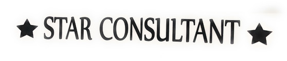 R040 STAR CONSULTANT
