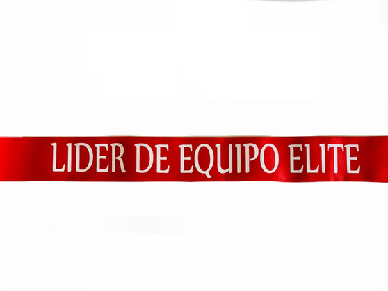 S048 LIDER DE EQUIPO ELITE