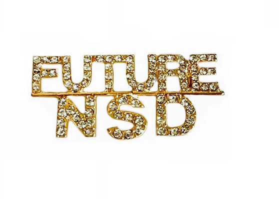 PK578 FUTURE N S D BROOCH