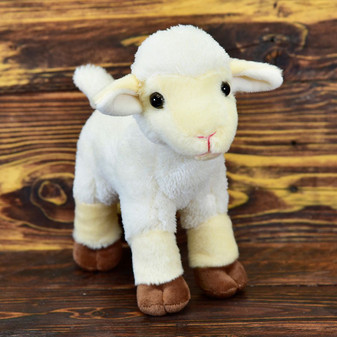 CH 690153-021 LAMB