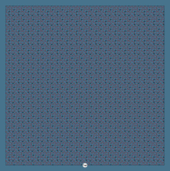 FRINGE SCARVES 35X35 - HORSESHOE AGAVE