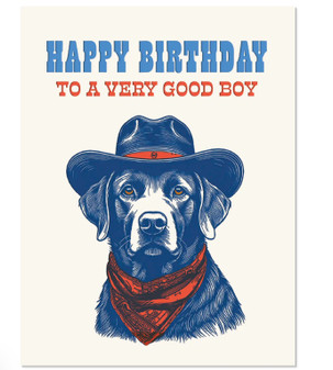 HBD TO A VERY GOOD BOY - BIRTHDAY CARD 