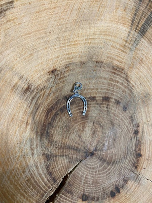 SOL STERLING LARGE HORSESHOE CHARM 