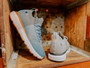 CARHARTT WOMEN'S HASLETT KNIT SNEAKER