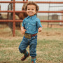 SB DENIM SHORT SLEEVE SHIRT
