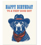 HBD TO A VERY GOOD BOY - BIRTHDAY CARD 