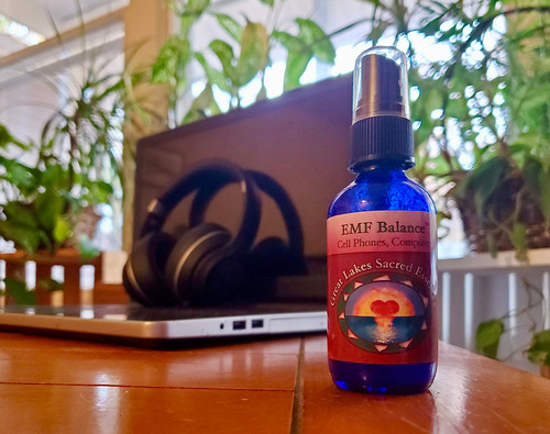 EMF Balance Special of the Month EMF Balance Special of the Month
