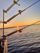 Cisco Indexable Triple Tree Mast with 3 fixed Rod Holders on thumbscrew Mount (PKTRE-TS) — PKTRE