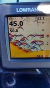 Walleye, Walleye and More Walleye