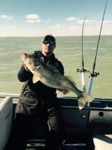 Fisherman catches tagged walleye in Lake Erie