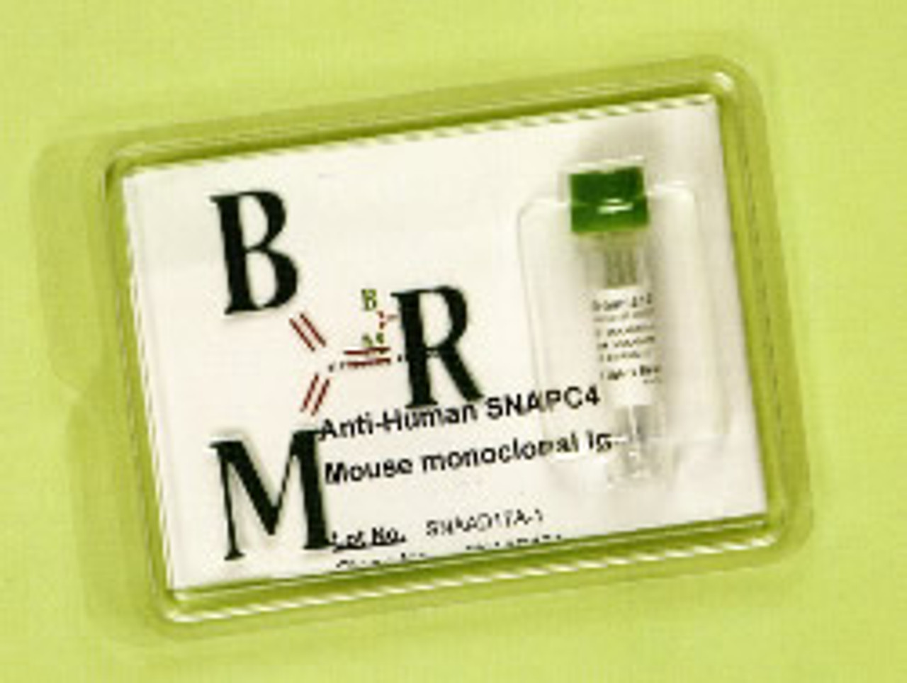 Anti-Human ZNF354A