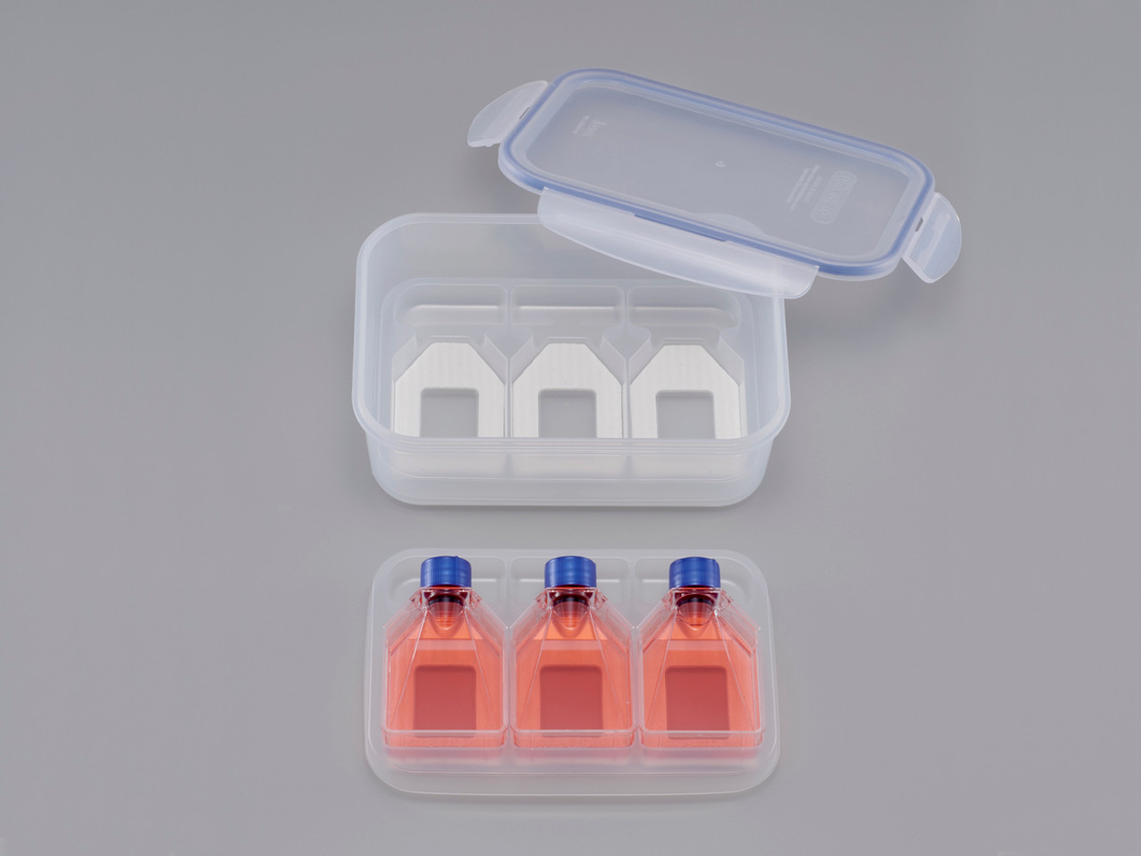 iP-TEC® Secondary Container for Flask