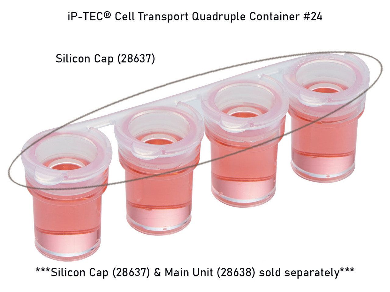 iP-TEC® Cell Transport Quadruple Container #24