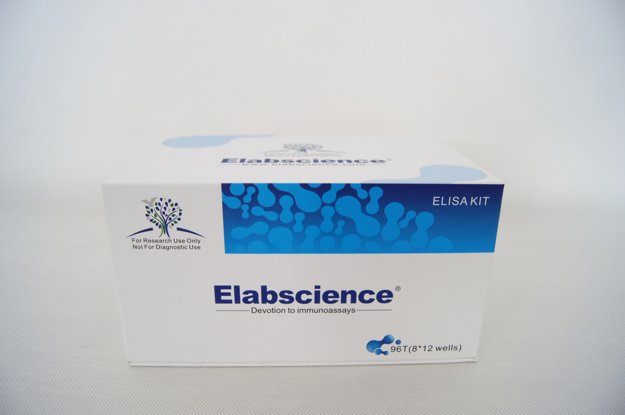 Human BMP-4(Bone Morphogenetic Protein 4) ELISA Kit