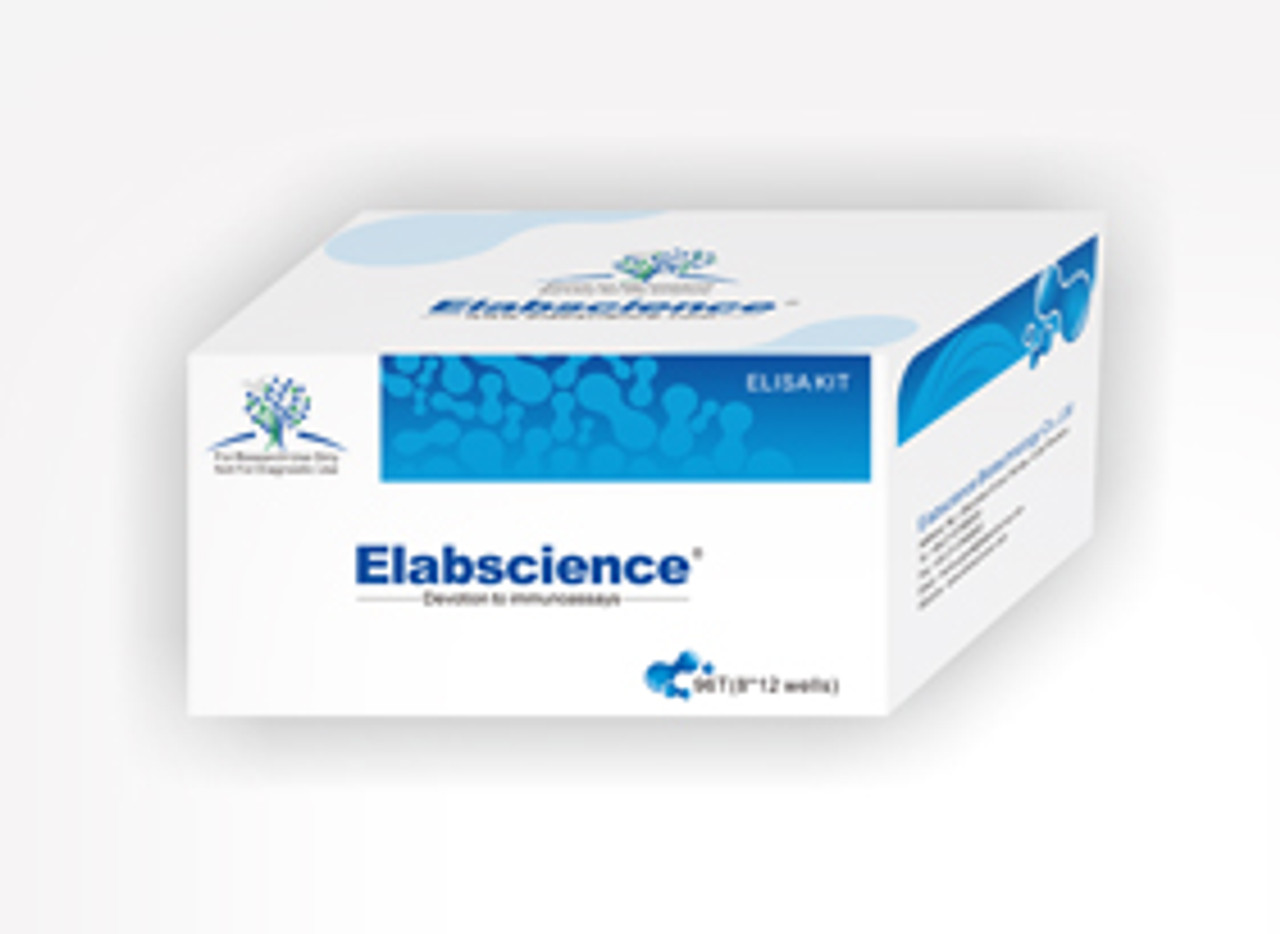 Uncoated Human Cys-C(Cystatin C) ELISA Kit