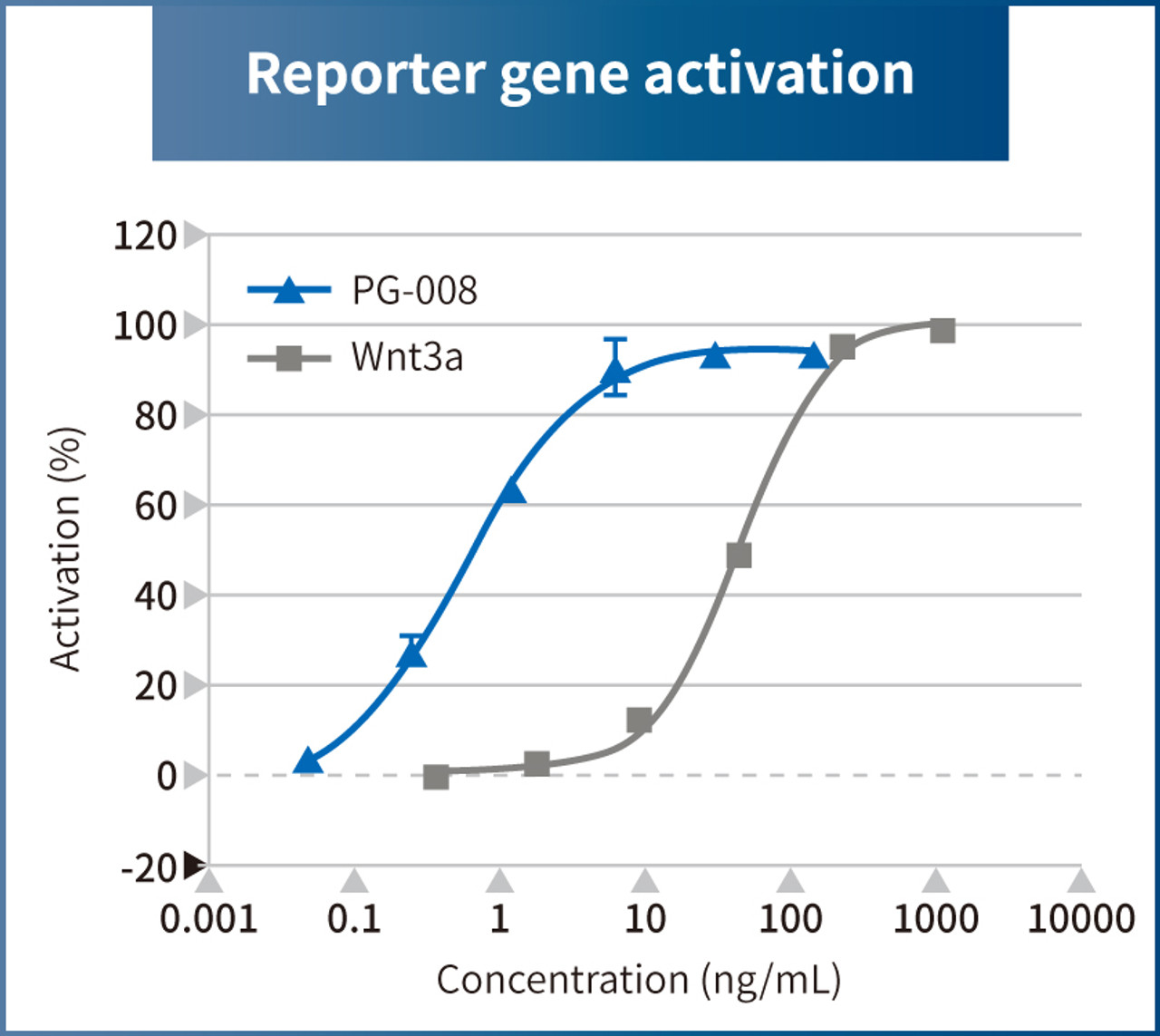Wnt3a Alternative Peptide (β-catenin pathway agonist)