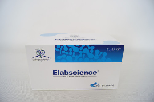 Human FGF18(Fibroblast Growth Factor 18) ELISA Kit