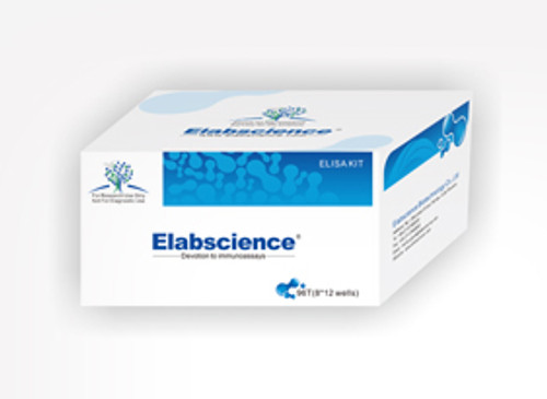 Uncoated Human IFABP/FABP2(Intestinal Fatty Acid Binding Protein) ELISA Kit