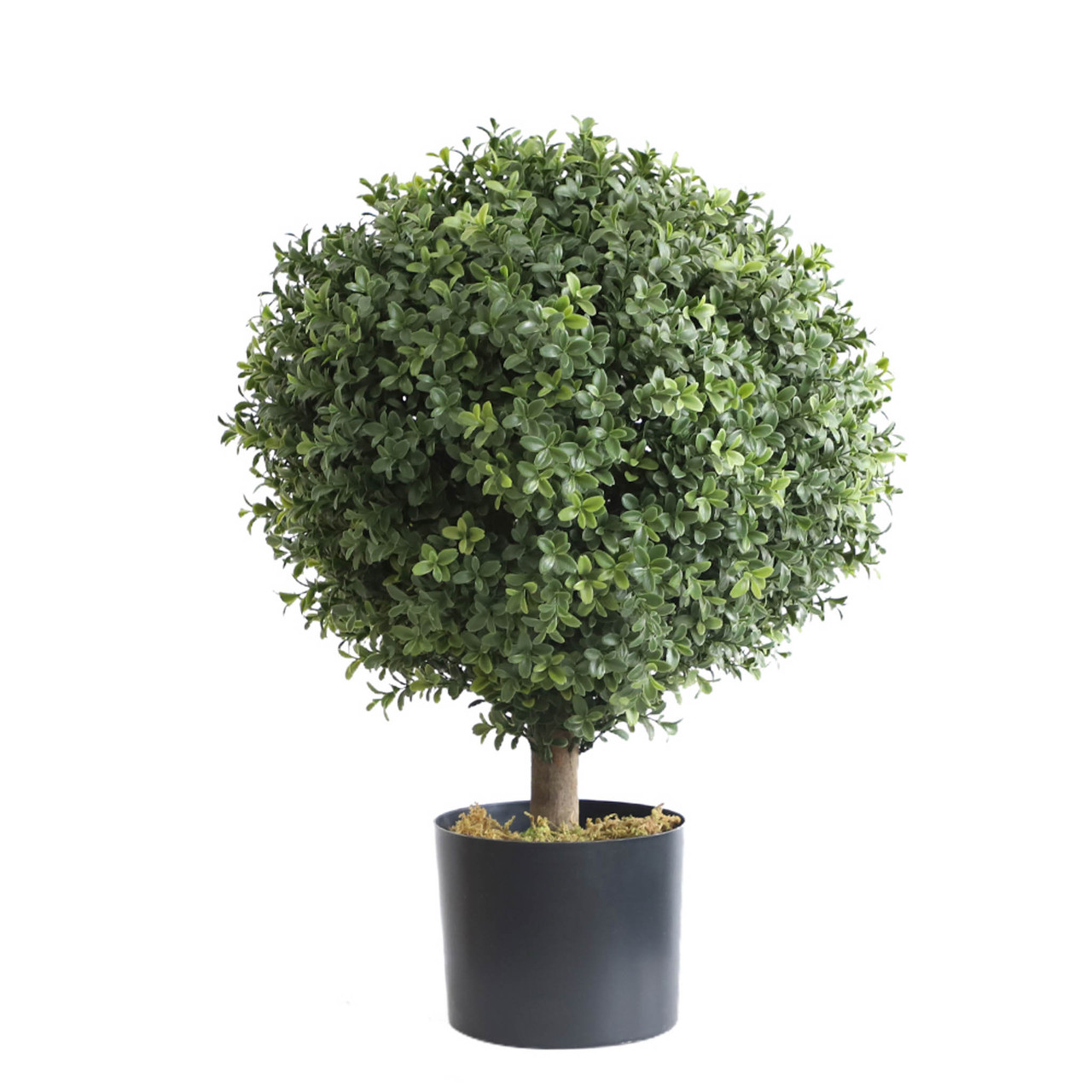 Artificial Round Boxwood Topiary InteriorEssentials.ca