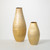 Brushed Gold Vase Set of 2
