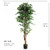 Artificial Ficus Tree