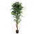 Artificial Ficus Tree