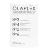 AllHair Olaplex Trial kit 2020 box