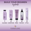Pureology Hydrate Gift Set Routine
