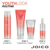 Joico Youth Lock Conditioner 250ml Routine