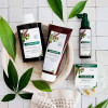 Klorane Quinine & Organic Edelweiss Shampoo
