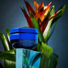 R+Co Bleu Elastic Pomade 50G Live