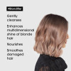 L'Oréal Professionnel Blondifier Gloss Shampoo and Conditioner Duo