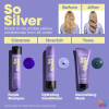 Matrix So Silver Shampoo For Blondes, Greys & Silvers 300ml 5