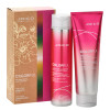 Joico Colorful Anti-Fade Christmas Gift Set 2025 