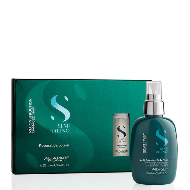 Alfaparf Reconstruction Leave-In Bundle