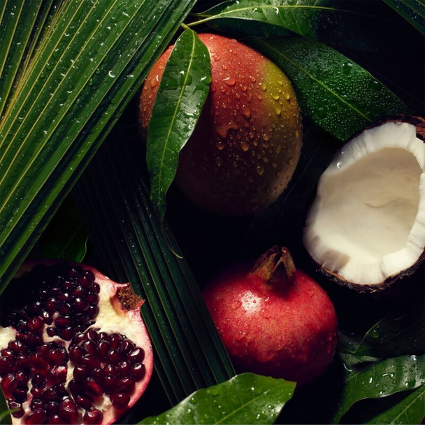 Aveda Nutriplenish Hydrating Shampoo Light Moisture 250ml