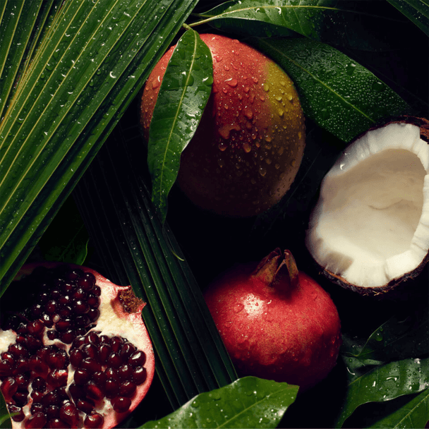  Aveda Nutriplenish Hydrating Conditioner Light Moisture 250ml 