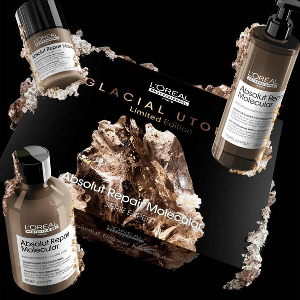 L'Oréal Professionnel Absolut Repair Molecular Trio Gift Set 2