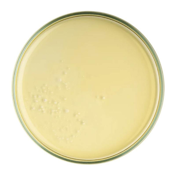 OLOS Face, Body & Hair Oil 100ml Product