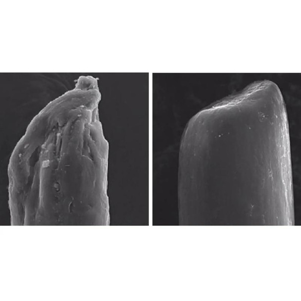 Olaplex No.4 Bond Maintenance Shampoo 250ml microscopic scale 