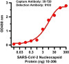 SARS-CoV-2 (COVID-19) Nucleocapsid Antibody