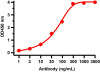 SARS-CoV-2 (COVID-19) NSP13 (Helicase) Antibody | 9181