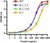 SARS-CoV-2 (COVID-19) Spike S1 Antibody [SP422]