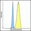 CD80 Antibody [8G12]