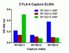 CTLA4 Antibody [1E6]