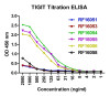 TIGIT Antibody [4A10]