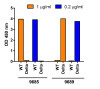 SARS-CoV-2 (COVID-19) Delta Variant Spike S1 (His-Avi Tag) Recombinant Protein