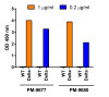 SARS-CoV-2 (COVID-19) Delta Variant Spike S1 (His-Avi Tag) Recombinant Protein