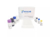 Human VEGF(Vascular Endothelial Growth Factor) ELISA Kit