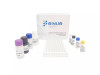 Human NT-proBNP(N-Terminal Pro-Brain Natriuretic Peptide) ELISA Kit